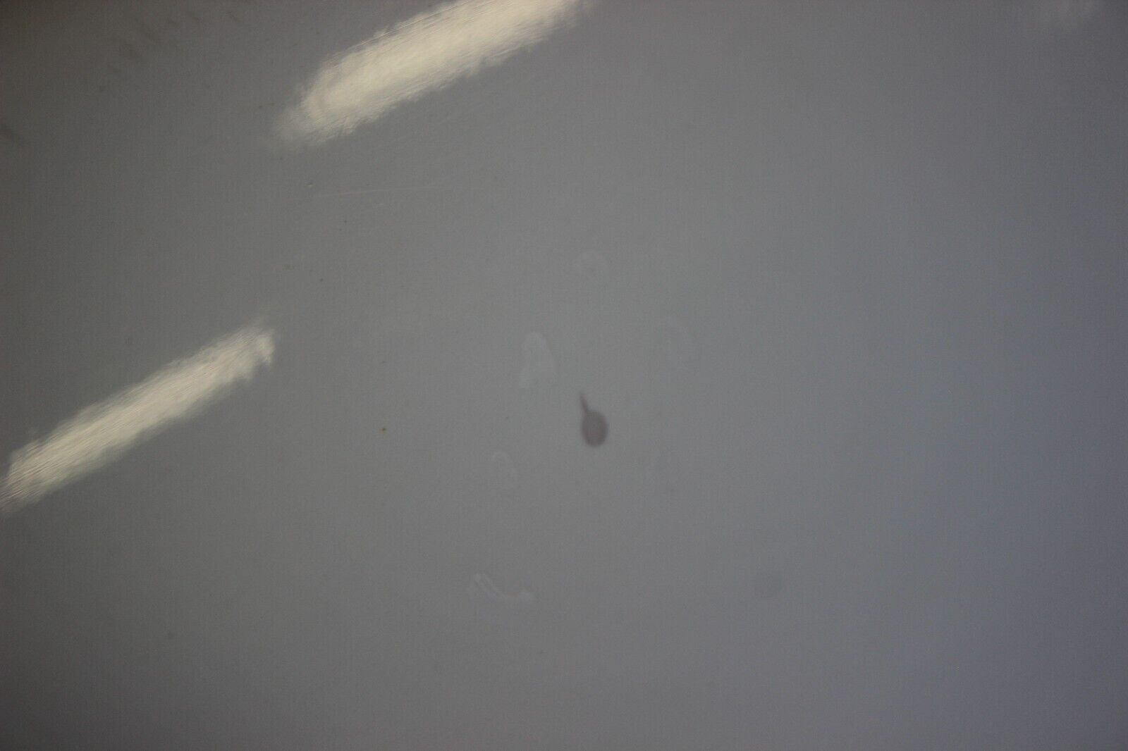 08-15 Mitsubishi Lancer Ralliart Rear Driver Door Shell OEM