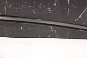 2009-2021 Nissan GTR R35 Roof Drip Molding Right RH OEM