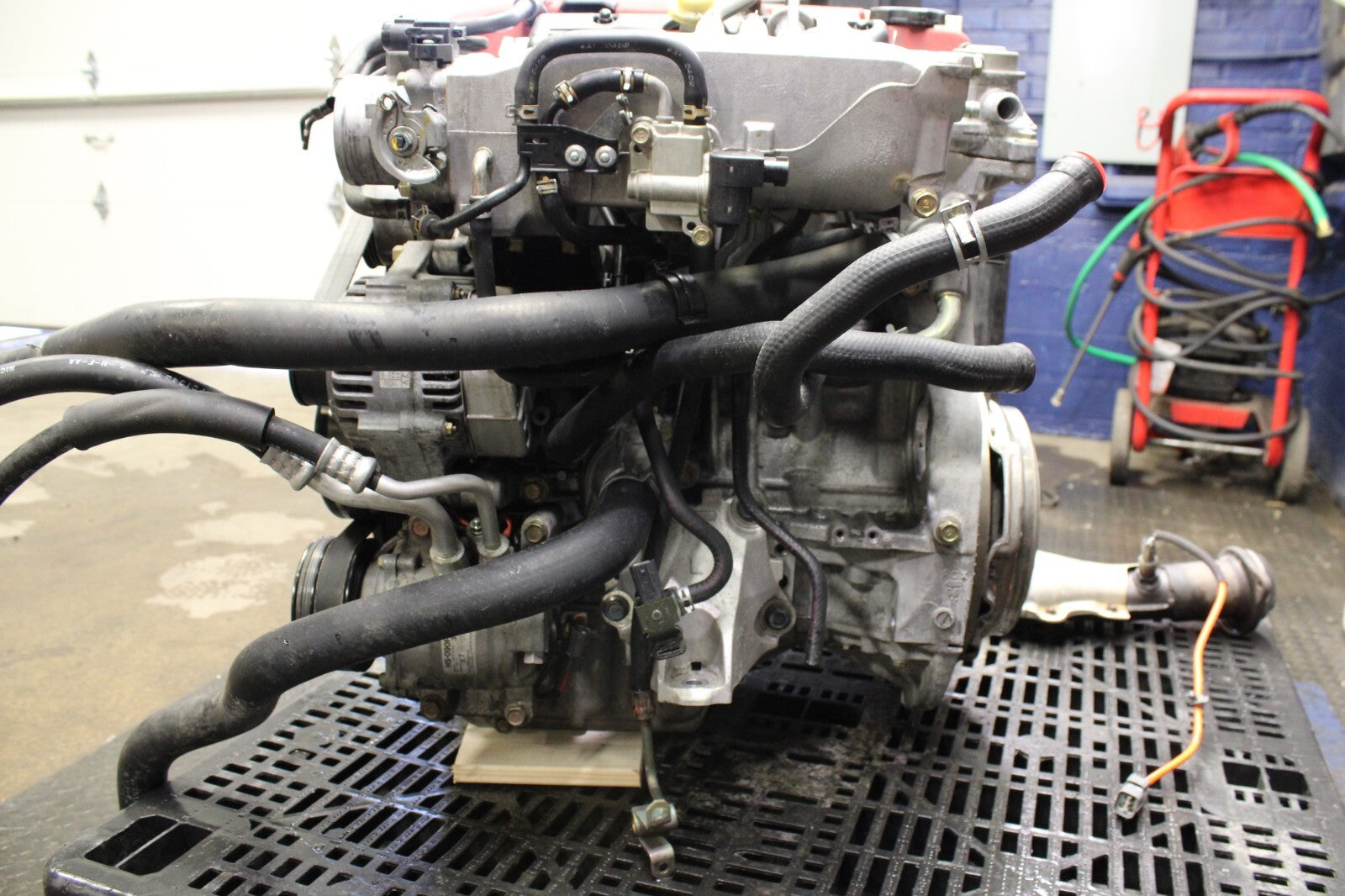 45037269