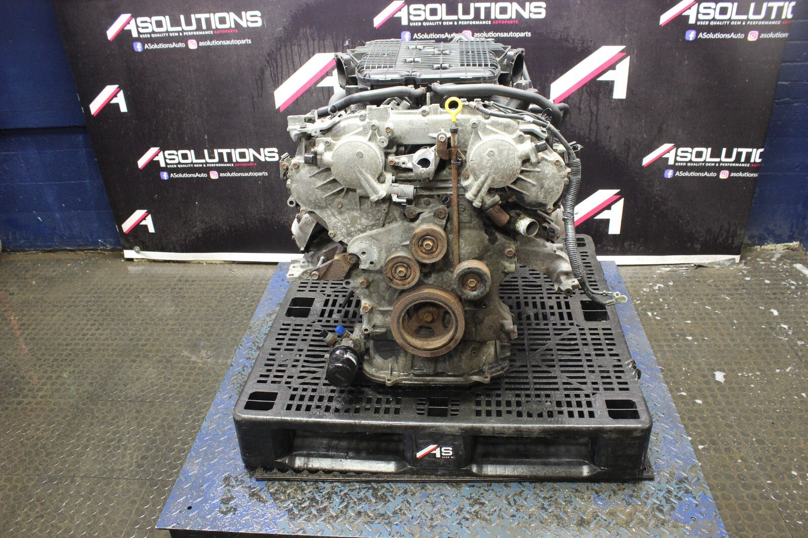 44620006
