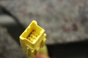 45278536