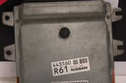 44846067