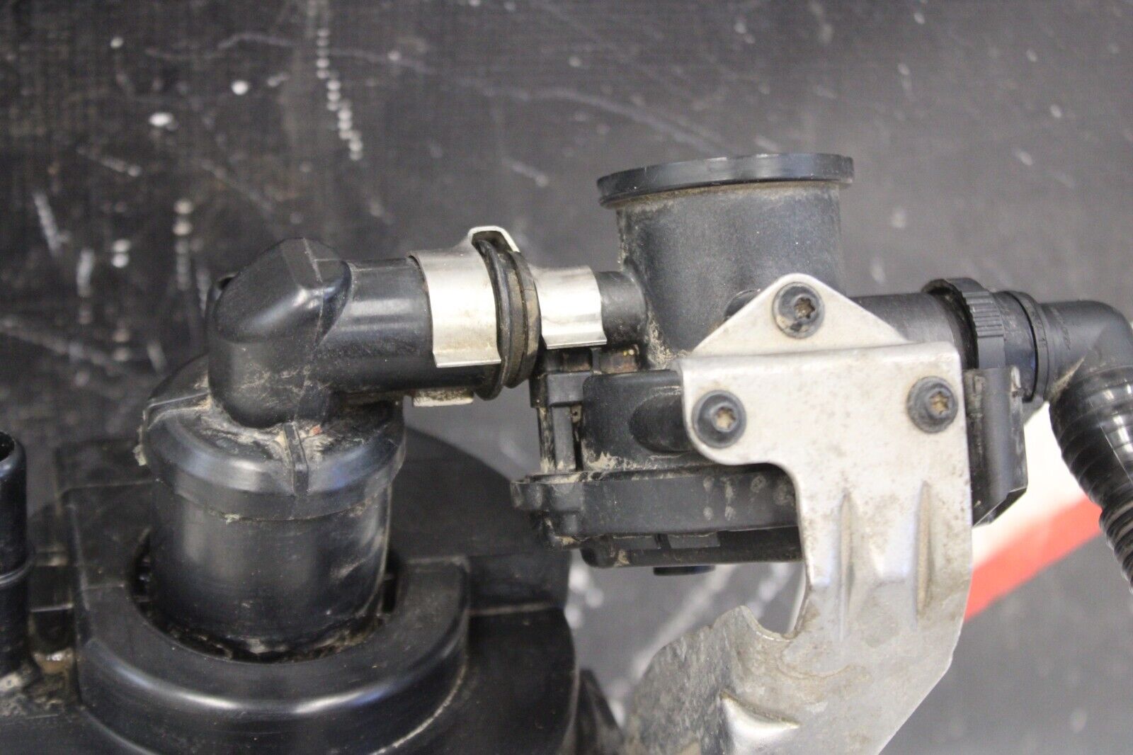 43841141