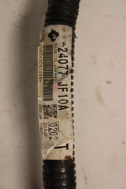 44519269