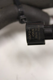 44519584