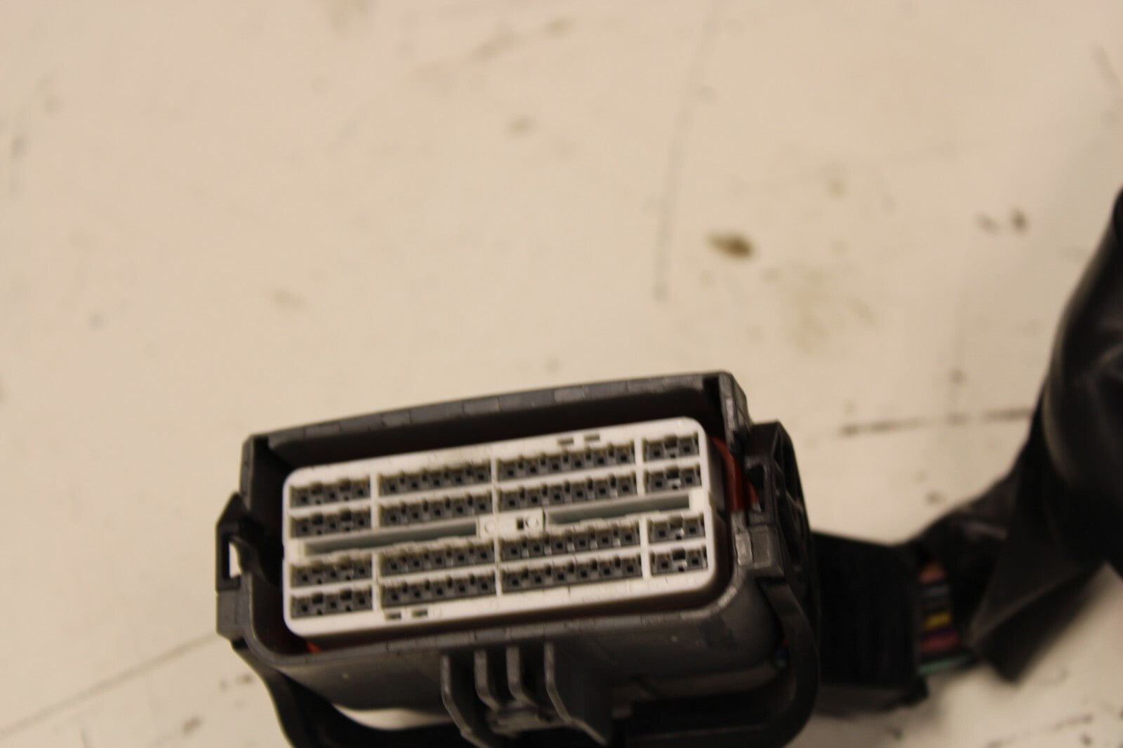 44623035