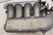 45313629