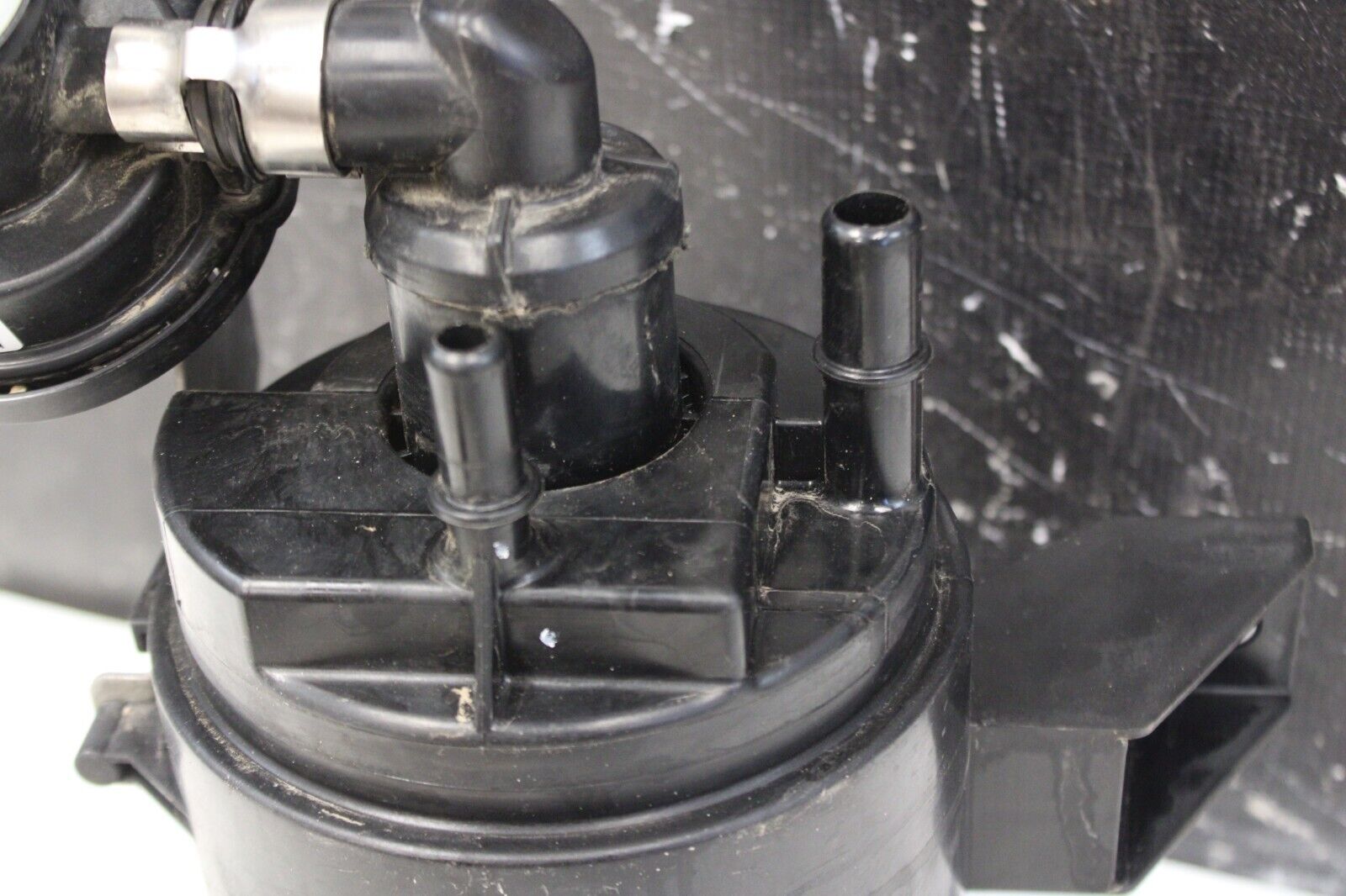 43841141
