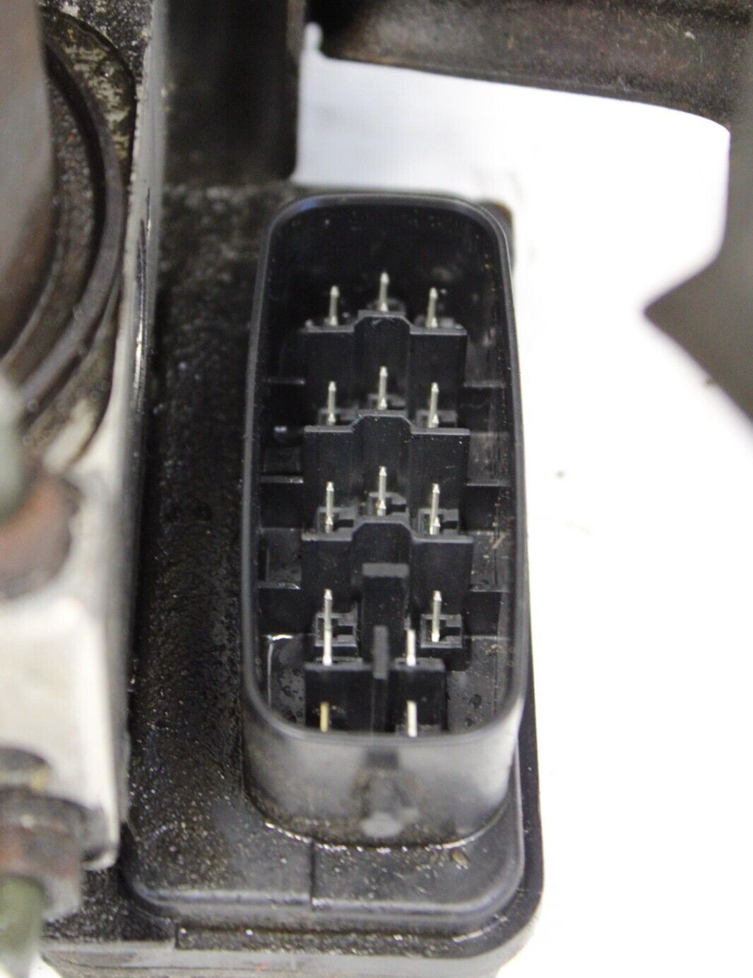 57_9fe859e0-1b30-48c9-bcc0-dac0c874a33a.jpg