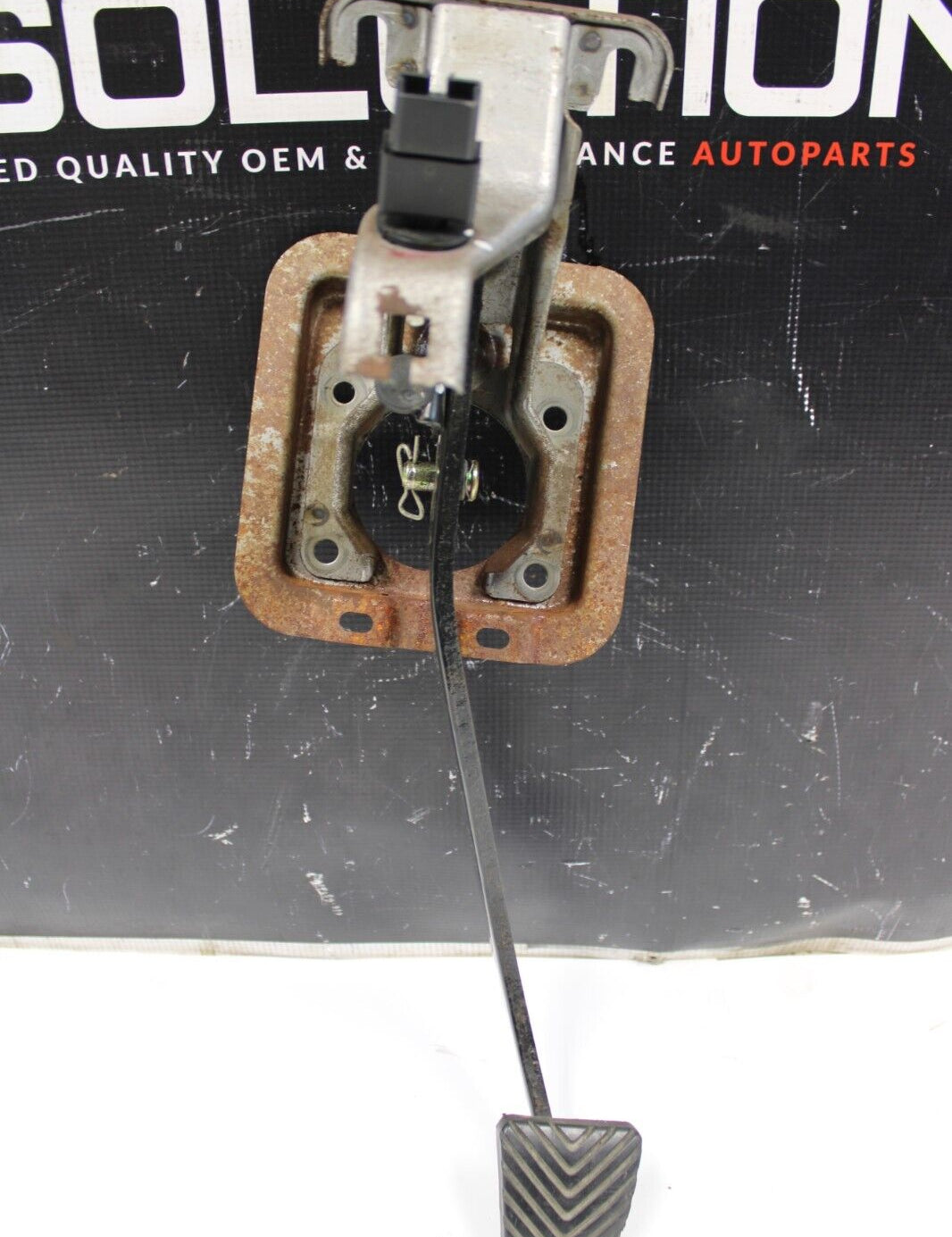 57_edab1523-cbf6-4bf0-8a18-0cb95288be64.jpg